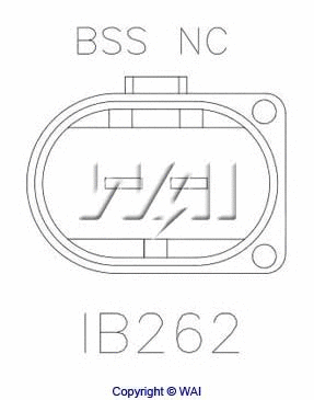 IB262 WAIGLOBAL Регулятор генератора (фото 3)