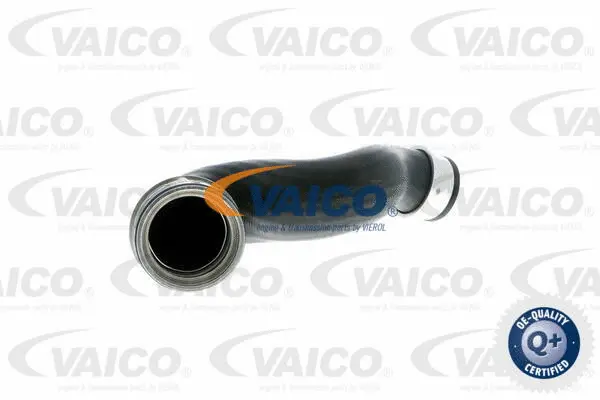 V10-2697 VAICO Трубка нагнетаемого воздуха (фото 1)