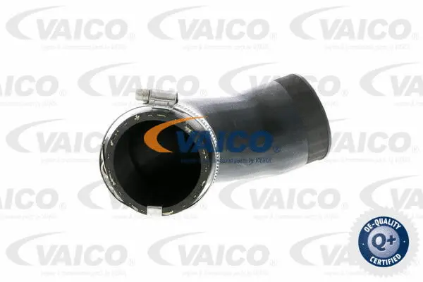 V10-2831 VAICO Трубка нагнетаемого воздуха (фото 1)