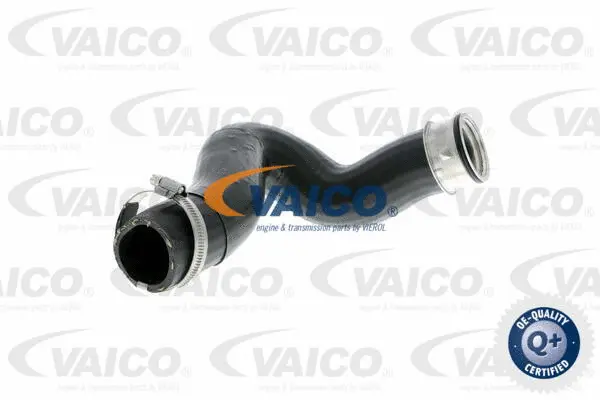 V10-2837 VAICO Трубка нагнетаемого воздуха (фото 1)
