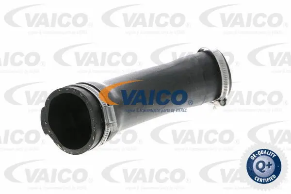 V10-2877 VAICO Трубка нагнетаемого воздуха (фото 1)
