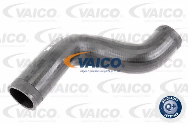 V10-2910 VAICO Трубка нагнетаемого воздуха (фото 1)