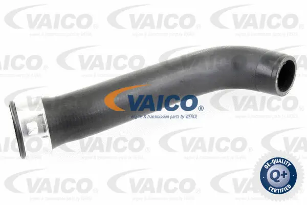 V10-3760 VAICO Трубка нагнетаемого воздуха (фото 1)