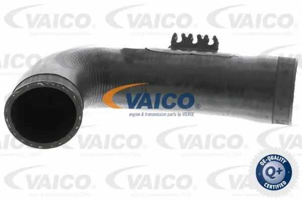 V10-3771 VAICO Трубка нагнетаемого воздуха (фото 1)