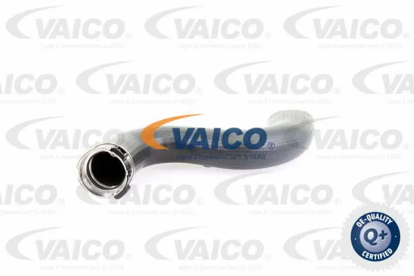 V10-3778 VAICO Трубка нагнетаемого воздуха (фото 1)