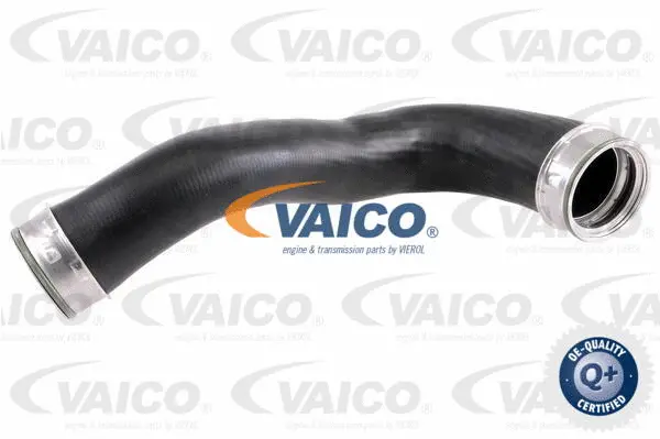 V10-3818 VAICO Трубка нагнетаемого воздуха (фото 1)