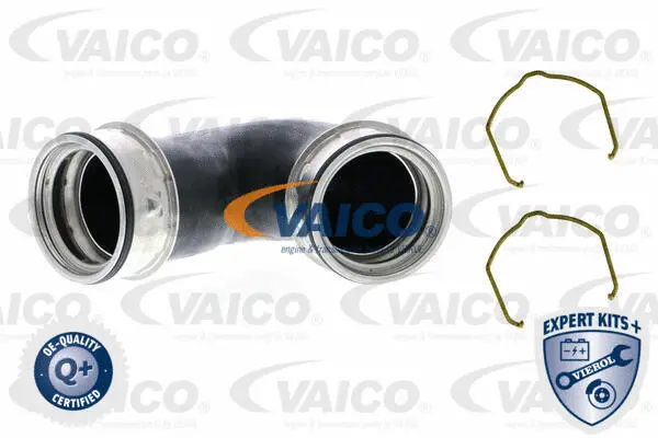 V10-5300 VAICO Трубка нагнетаемого воздуха (фото 1)