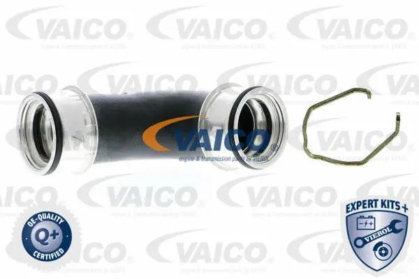 V10-5305 VAICO Трубка нагнетаемого воздуха (фото 1)