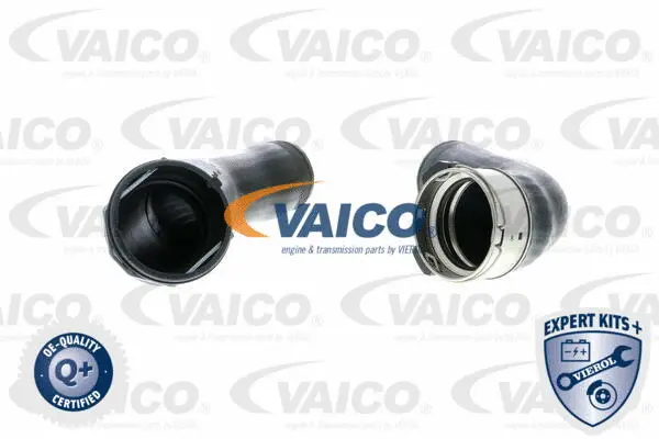 V20-1616 VAICO Трубка нагнетаемого воздуха (фото 1)