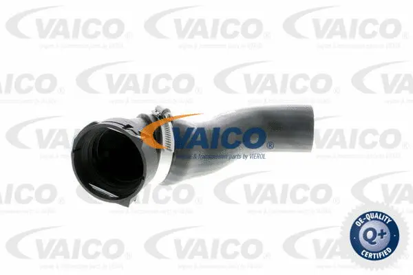 V20-1620 VAICO Трубка нагнетаемого воздуха (фото 1)