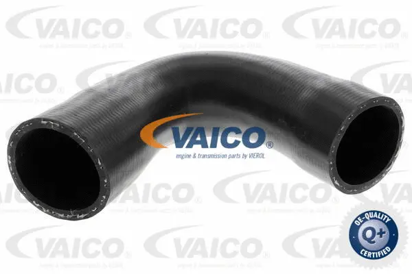 V22-1100 VAICO Трубка нагнетаемого воздуха (фото 1)