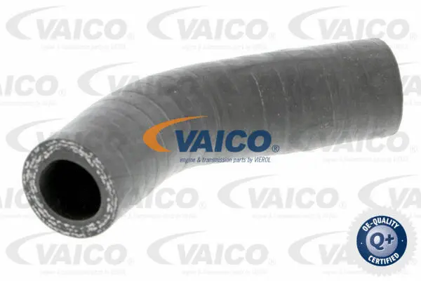 V24-0631 VAICO Трубка нагнетаемого воздуха (фото 1)