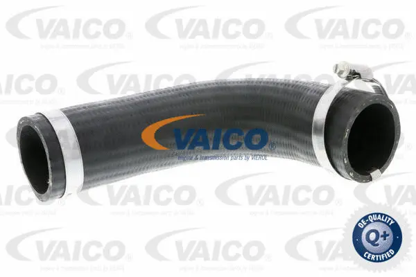 V25-0987 VAICO Трубка нагнетаемого воздуха (фото 1)