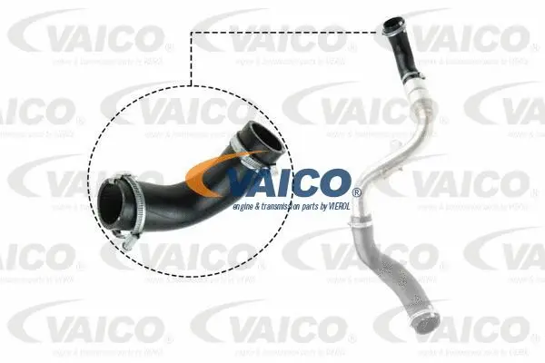 V25-1023 VAICO Трубка нагнетаемого воздуха (фото 1)