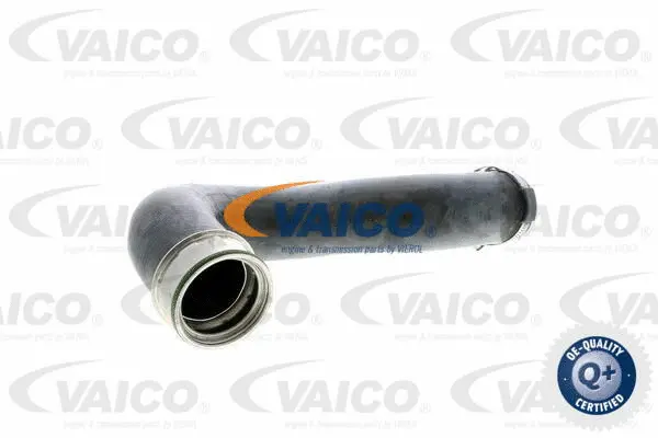 V30-1773 VAICO Трубка нагнетаемого воздуха (фото 1)