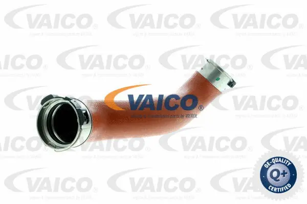 V30-2238 VAICO Трубка нагнетаемого воздуха (фото 1)