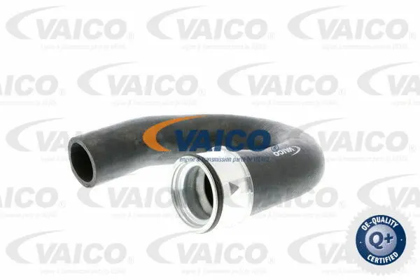 V40-1363 VAICO Трубка нагнетаемого воздуха (фото 1)