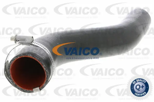 V46-0738 VAICO Трубка нагнетаемого воздуха (фото 1)