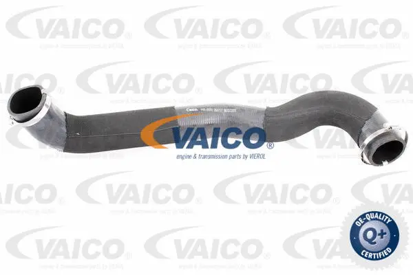 V48-0070 VAICO Трубка нагнетаемого воздуха (фото 1)