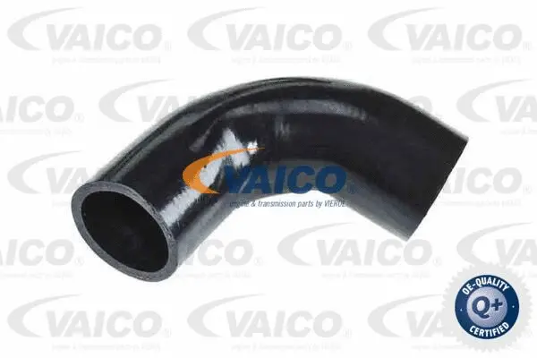 V95-0359 VAICO Трубка нагнетаемого воздуха (фото 1)