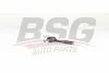 BSG 25-310-005 BSG Наконечник поперечной рулевой тяги