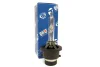 Превью - QBL502G QUINTON HAZELL Лампа накаливания, основная фара (фото 2)