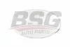 BSG 30-810-019 BSG Фонарь указателя поворота