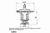 6.854.82.399 BEHR/HELLA/PAGID Термостат maz