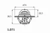 1.071.87 BEHR/HELLA/PAGID Термостат ford