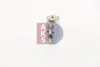 Превью - 840002N AKS DASIS Расширительный клапан, кондиционер (фото 16)