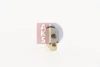 Превью - 840022N AKS DASIS Расширительный клапан, кондиционер (фото 7)