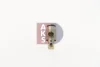 Превью - 840022N AKS DASIS Расширительный клапан, кондиционер (фото 16)