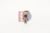 Превью - 840118N AKS DASIS Расширительный клапан, кондиционер (фото 16)