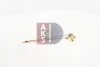 Превью - 840550N AKS DASIS Расширительный клапан, кондиционер (фото 16)