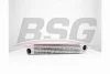 BSG 15-535-017 BSG Интеркулер