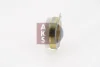 Превью - 855026N AKS DASIS Катушка, электромагнитное сцепление - копрессор (фото 4)