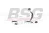 BSG 60-725-003 BSG Топливопровод