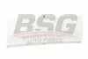 BSG 65-924-023 BSG Облицовка / защитная накладка, дверь