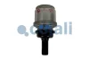 Превью - 2251313 COJALI Тормозной цилиндр с пружинным энергоаккумулятором (фото 2)