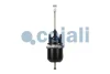 Превью - 2251415 COJALI Тормозной цилиндр с пружинным энергоаккумулятором (фото 2)