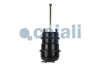 Превью - 2251429 COJALI Комбинированный тормозной цилиндр (фото 3)