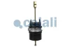 Превью - 2251502 COJALI Тормозной цилиндр с пружинным энергоаккумулятором (фото 2)