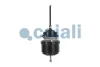 Превью - 2251600 COJALI Тормозной цилиндр с пружинным энергоаккумулятором (фото 3)