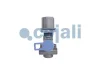 Превью - 2323606 COJALI Клапан ограничения давления (фото 2)