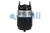 Превью - 2351321 COJALI Тормозной цилиндр с пружинным энергоаккумулятором (фото 4)
