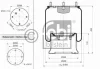 15043 FEBI Кожух пневматической рессоры