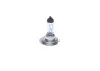 Превью - 1 987 301 013 BOSCH Лампа накаливания, фара дальнего света (фото 11)