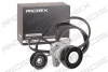 542R0252 RIDEX Поликлиновой ременный комплект