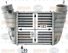 8ML 376 700-061 BEHR/HELLA/PAGID Интеркулер (радиатор интеркулера)