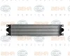 8ML 376 700-631 BEHR/HELLA/PAGID Интеркулер (радиатор интеркулера)